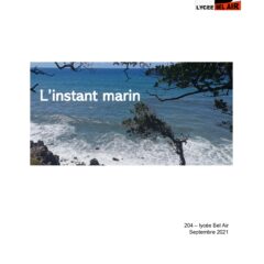 L’instant Marin, recueil poétique