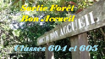 Visite Forêt de Bon Accueil