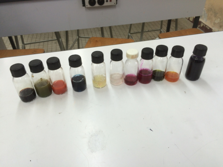 résultats de l'extraction de pigments végétaux contenus dans des petites bouteilles