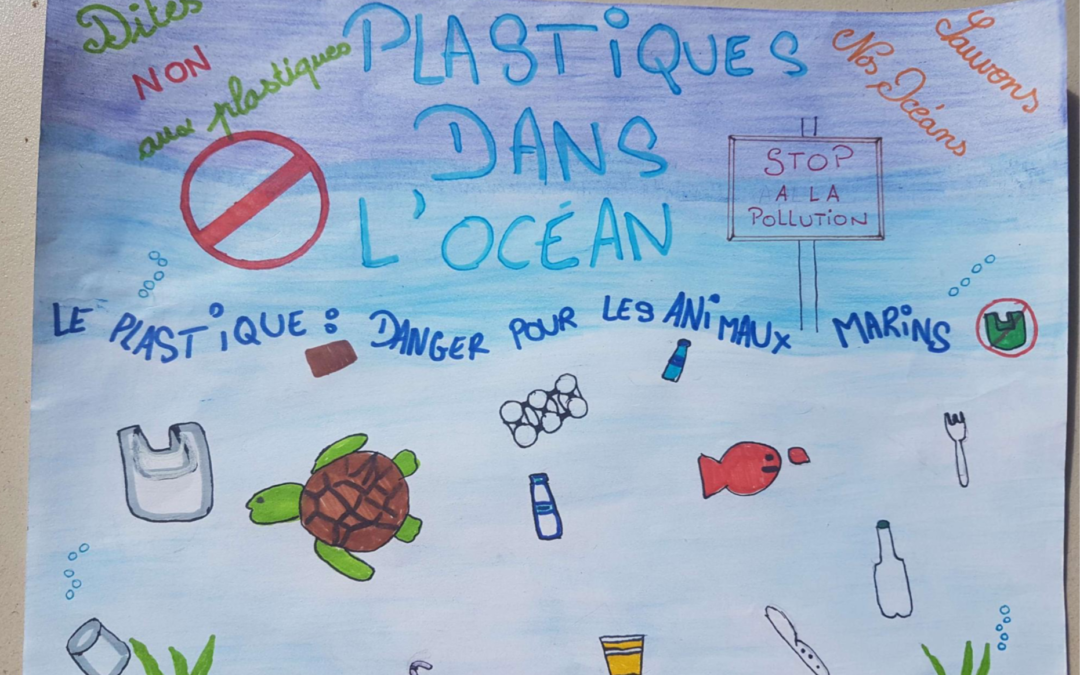 « Plastic is not fantastic » by 610 and 608′ pupils